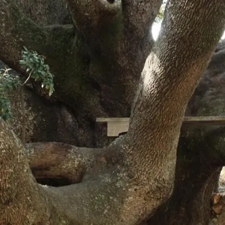Detente Escapade Nature Quietude Confort Bien Etre וילה *